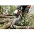 Stihl benzines láncfűrész MS 261