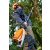 Stihl PRO akkumulátoros magassági ágnyeső HTA 86 (akku és töltő nélkül)