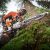 Stihl benzines láncfűrész MS 500i