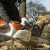 Stihl PRO akkumulátoros láncfűrész MSA 220 C-B (akku és töltő nélkül)